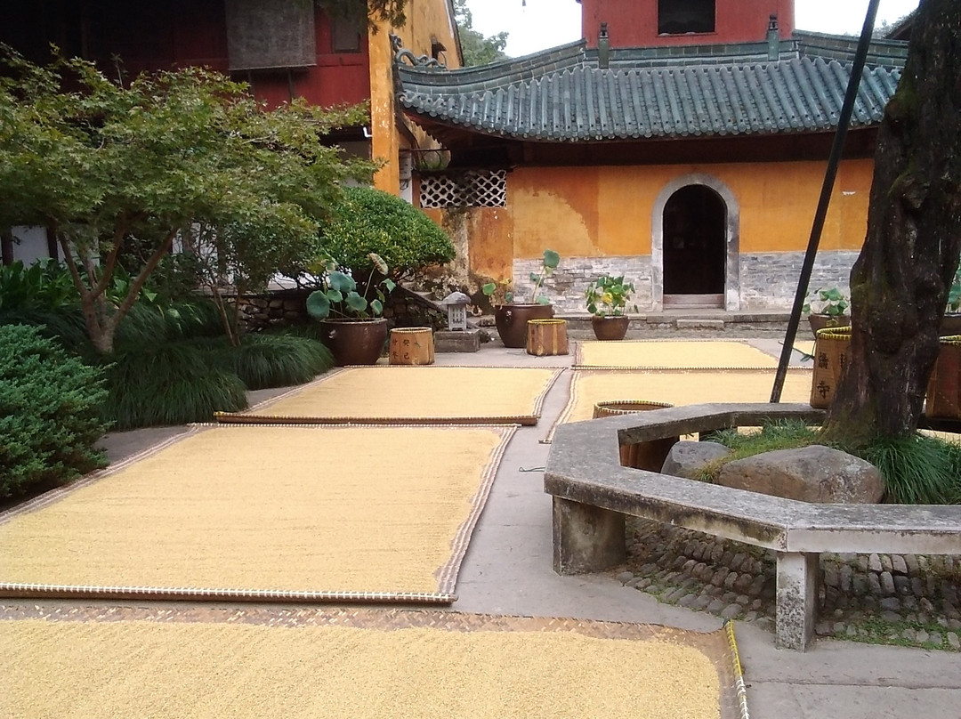 台州国清寺景点图片