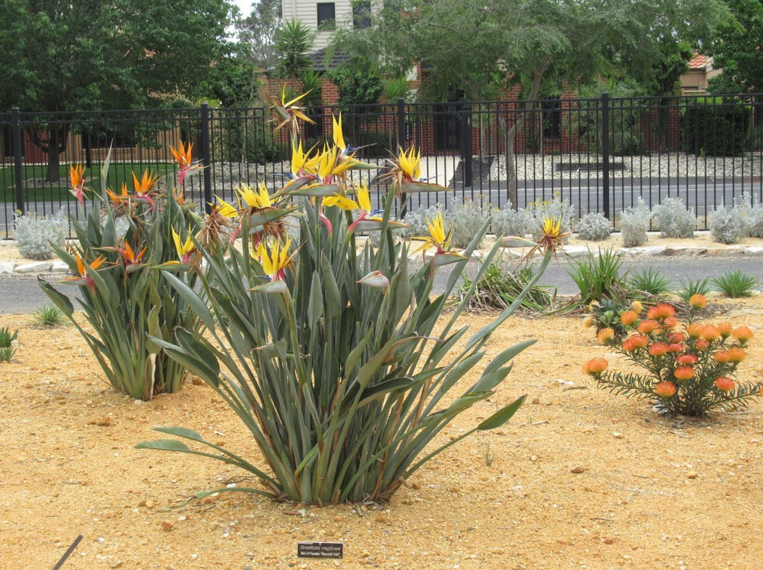Horsham Botanical Gardens-霍舌姆必去景点
