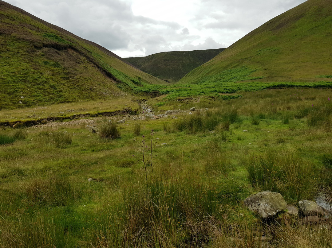 Forest of Bowland Area of Outstanding Natural Beauty景点图片