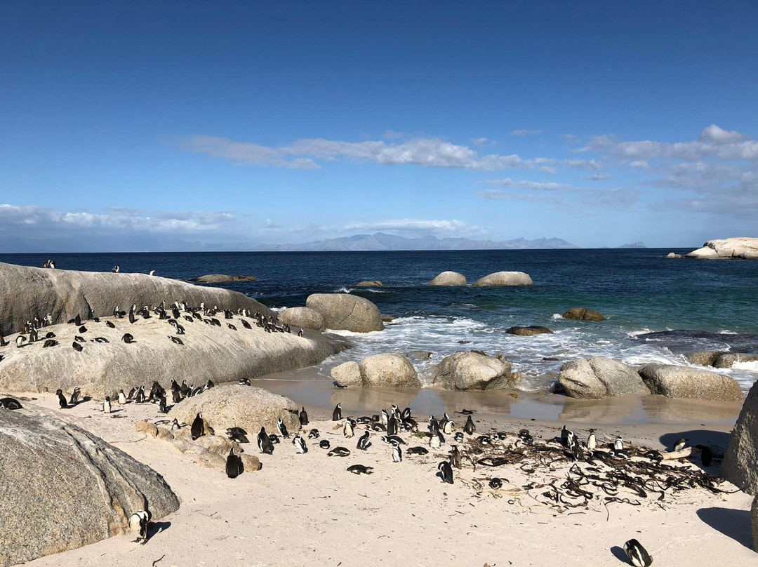 Private Cape Tours-康士坦提亚必去景点