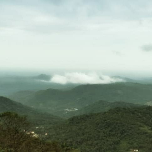Paithalmala Hill Station景点图片