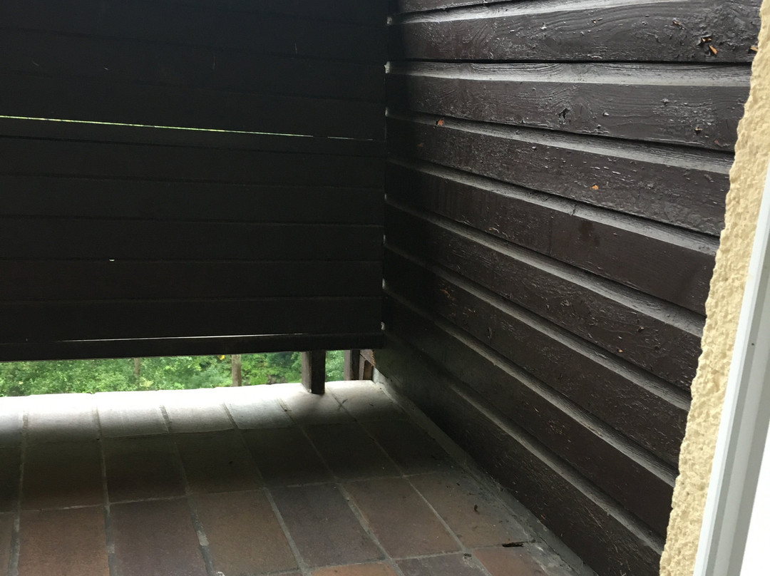 Wellness Hotel Green Paradise主图