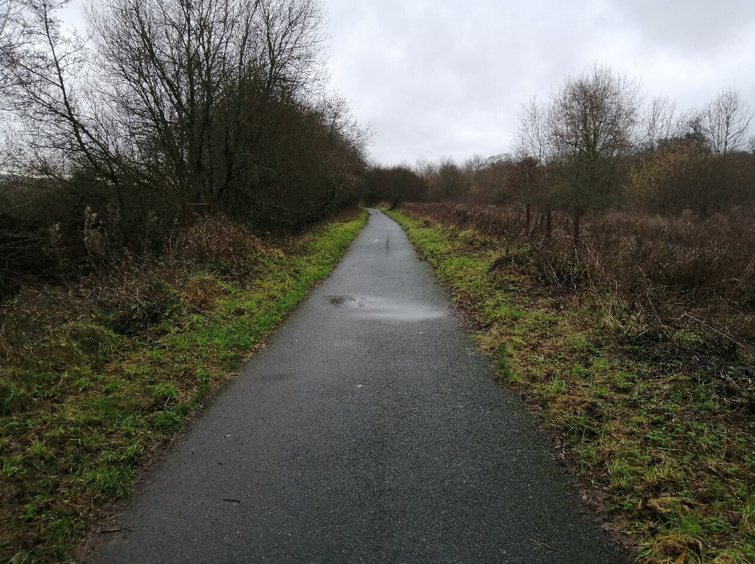 Merstone-horringford Rail Walk景点图片