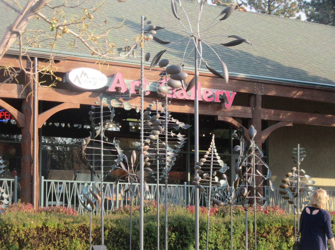 Marcus Ashley Fine Art Gallery-南太浩湖必去景点