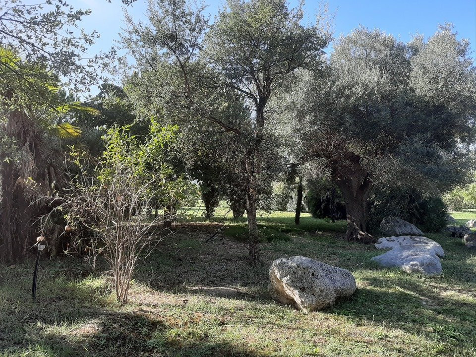 Oasi Parco dei Laghetti景点图片