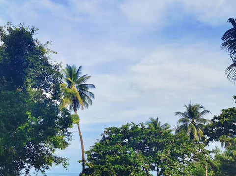 海景度假村主图