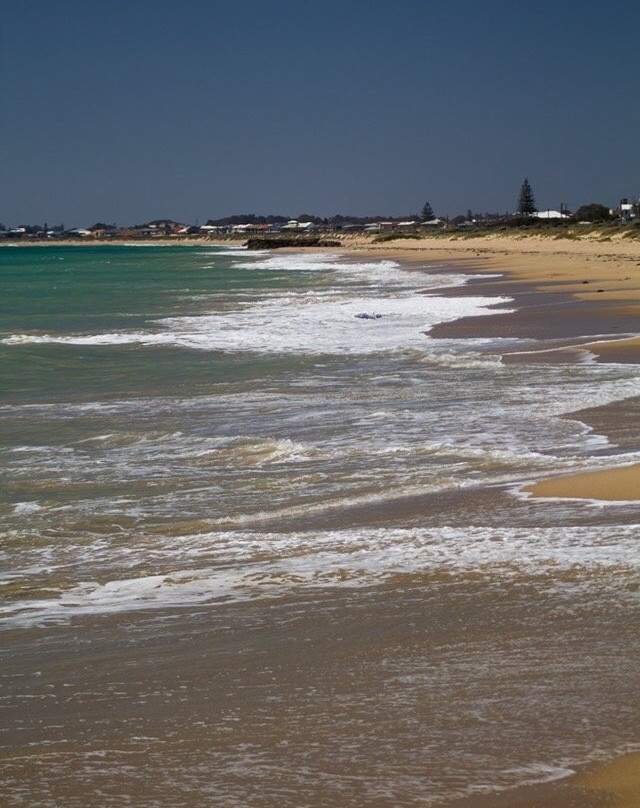 Silver Sands Beach景点图片