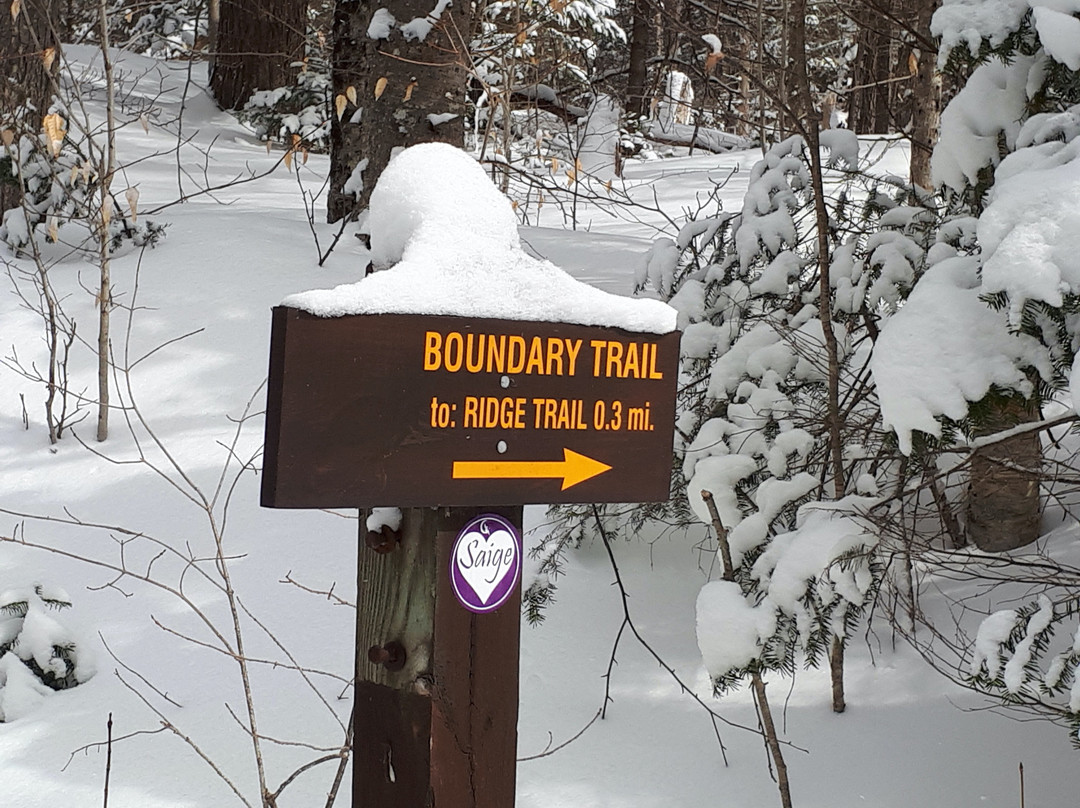 Brewster Peninsula Nature Trails-普莱西德湖必去景点