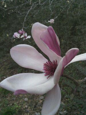 Museo Historico de Las Piedras