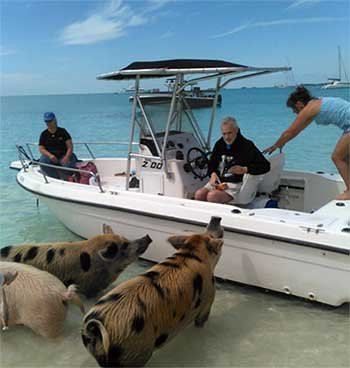 Live Good Adventures-George Town必去景点