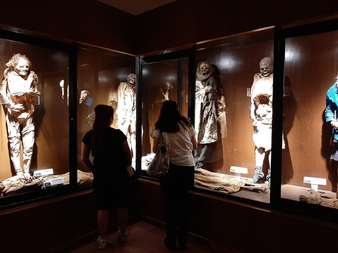 Museo de las Momias de Celaya景点图片