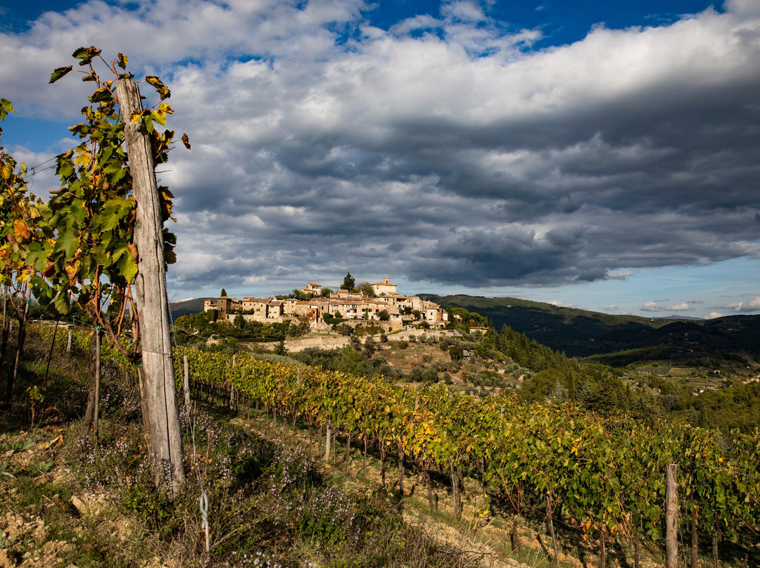 Chianti Live景点图片