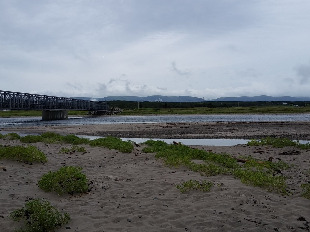 Wetlands Trail景点图片