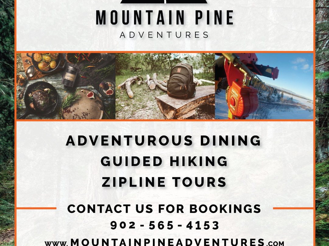 Mountain Pine Adventures景点图片