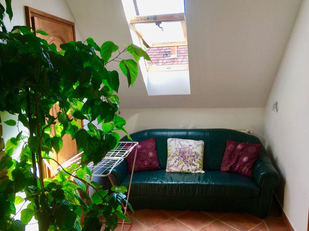 Krisztina Vendeghaz主图