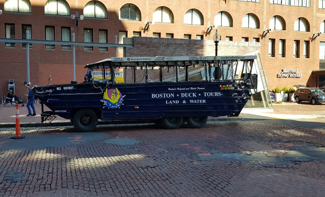 波士顿水鸭车旅游景点图片
