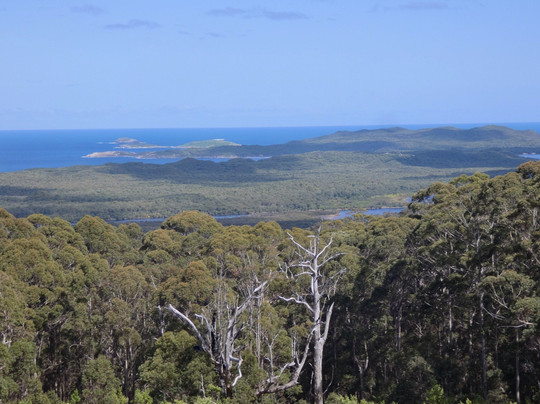 Shannon National Park-Manjimup必去景点