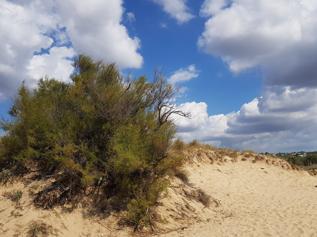 Hotel Gold Beach主图