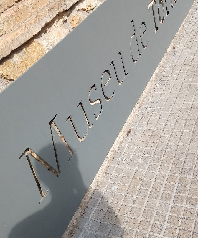 Museu de Tortosa景点图片