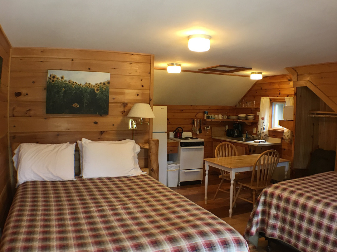 Mountain View Motel主图