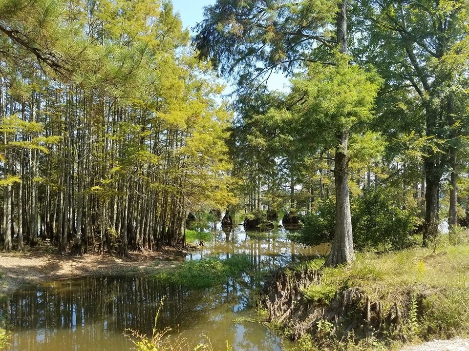 Ackerman旅游景点-Noxubee National Wildlife Refuge