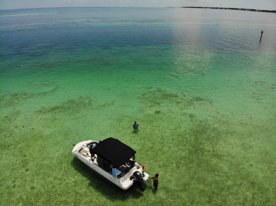 A1A Watersports & Boat Rentals