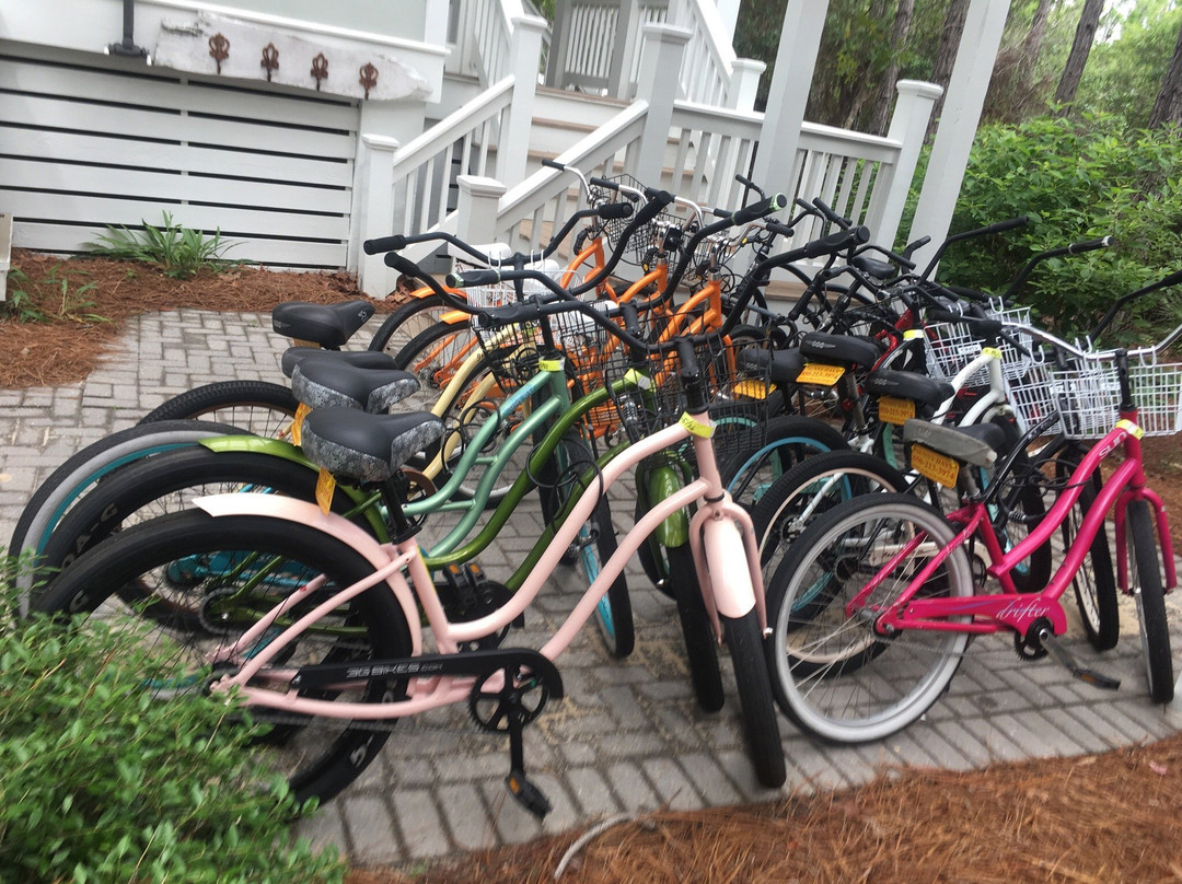 Sunny Days Bike & Beach Sports景点图片