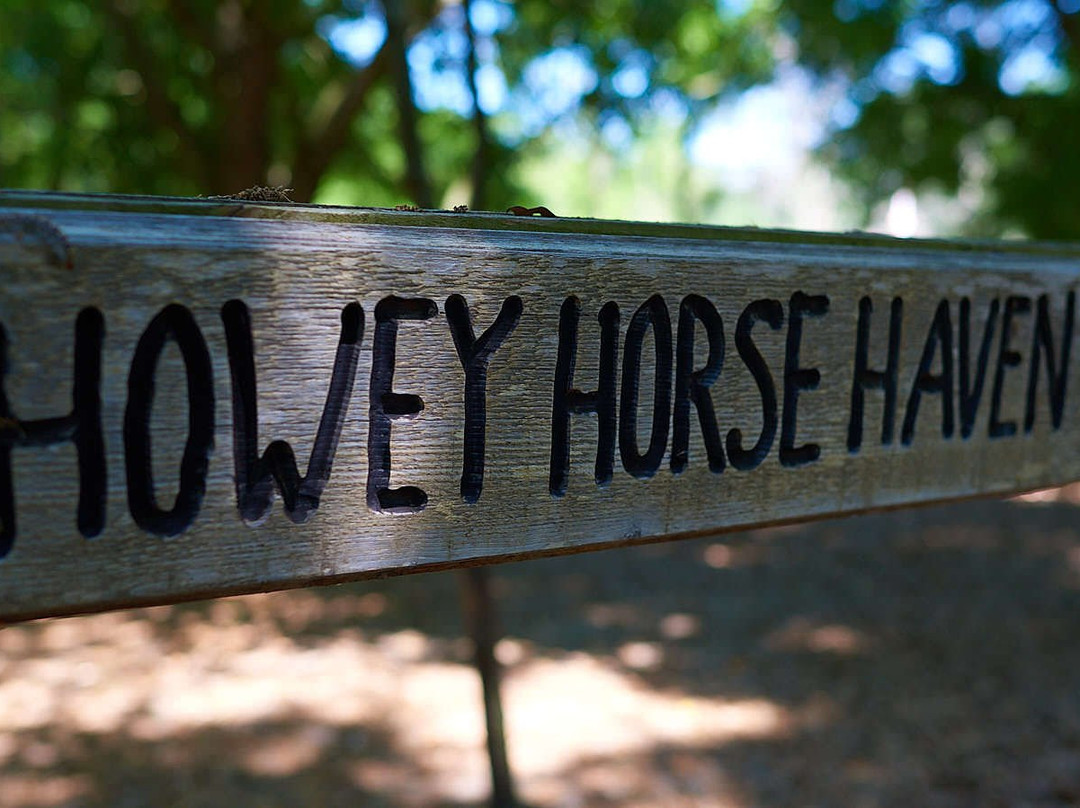 Howey Horse Haven Rescue景点图片