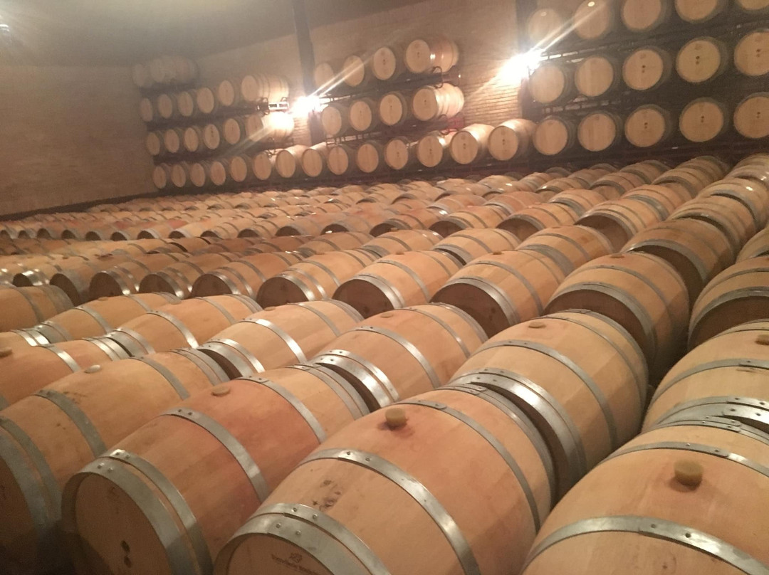 Bodegas Alvia-Ventosa必去景点