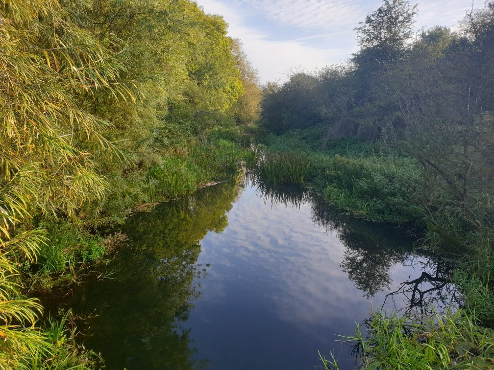 Irthlingborough Lakes and Meadows景点图片