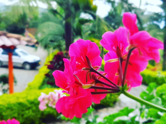 Hosteria El Paraiso主图