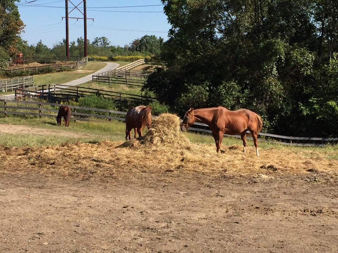 Double H Stables-弗兰特罗亚尔必去景点