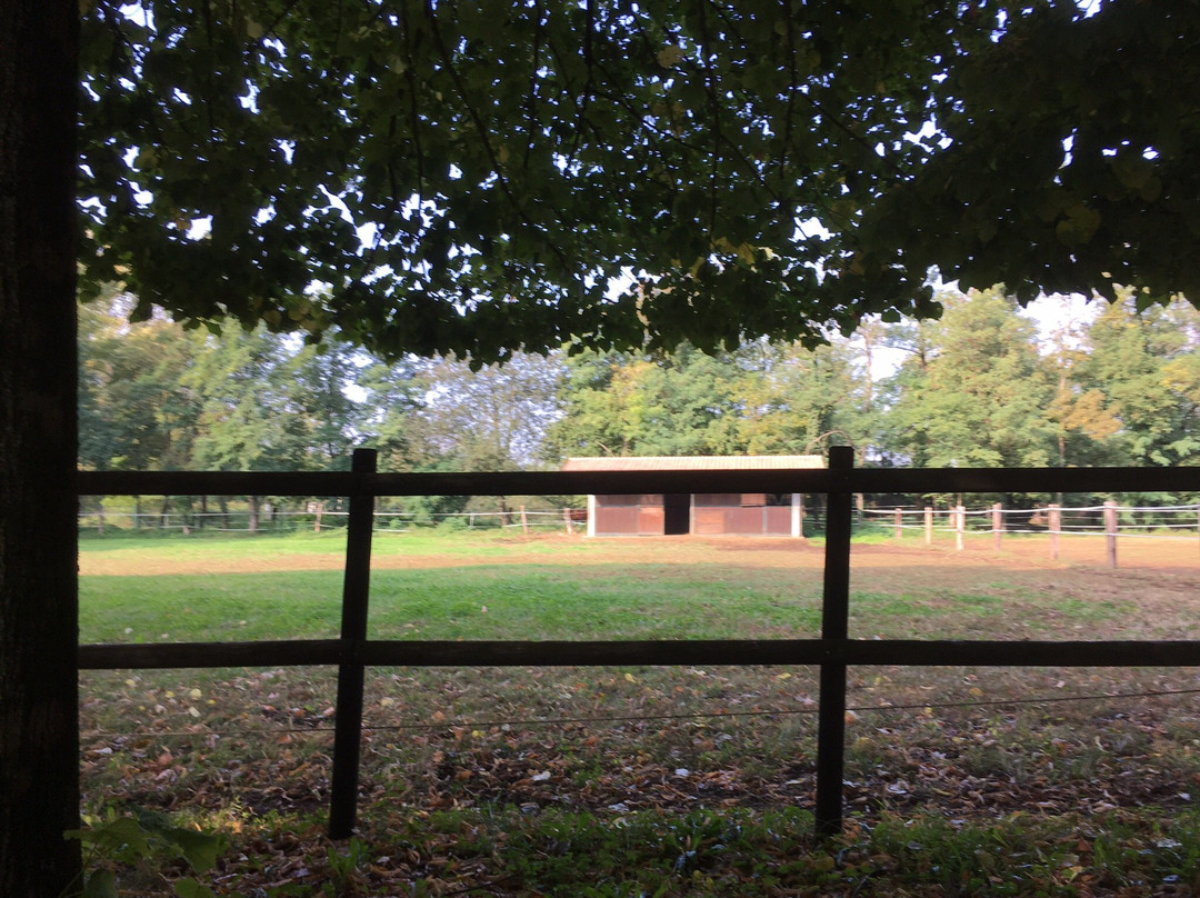 San Giacomo Horses主图