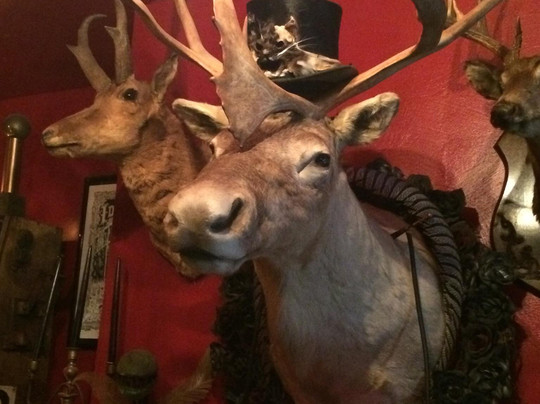 Trundle Manor-匹兹堡必去景点