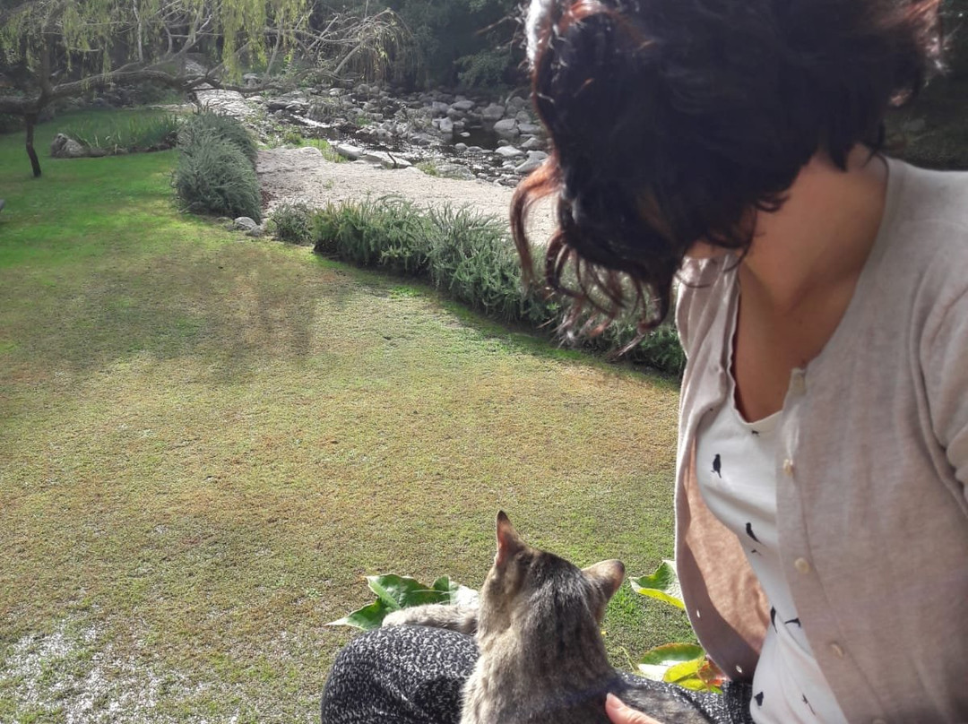 Hotel & Spa La Central主图