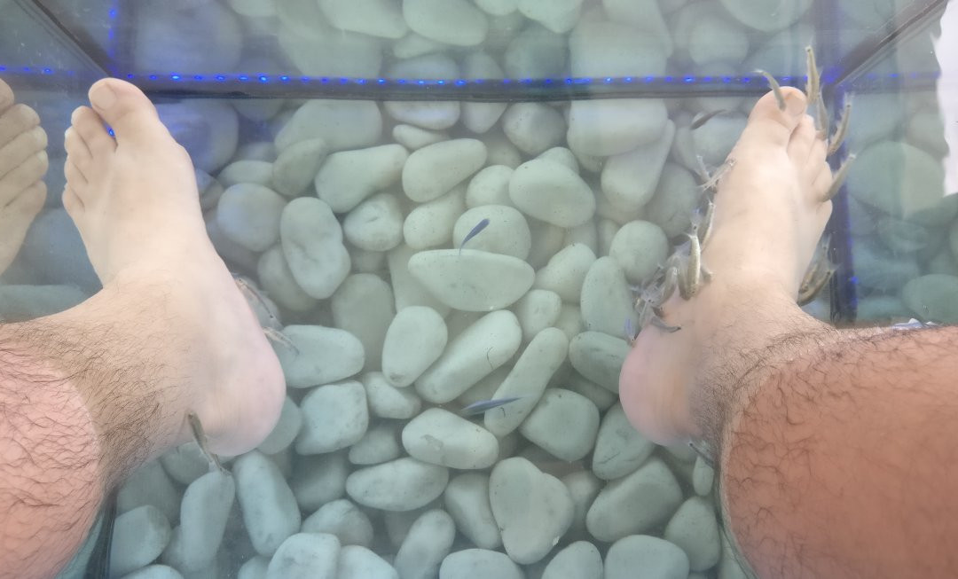 Doctor Fish Spa Therapy Sissi-Sissi必去景点