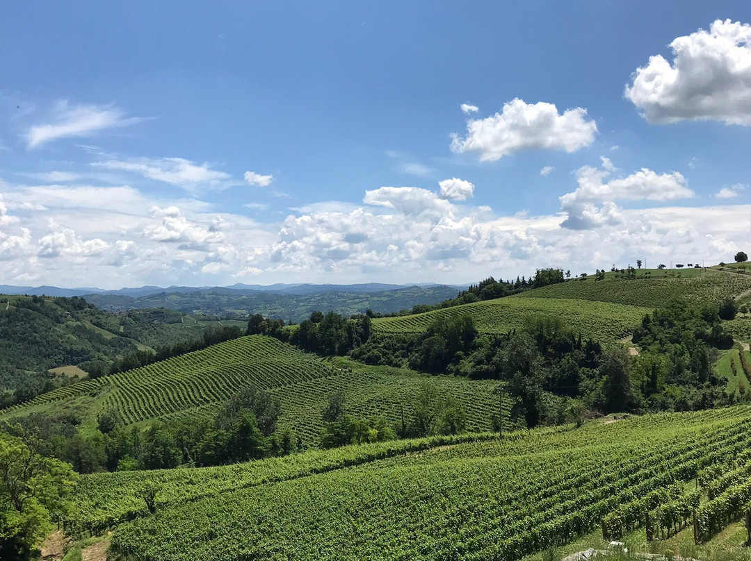 Azienda Agricola Gallo-Montabone必去景点