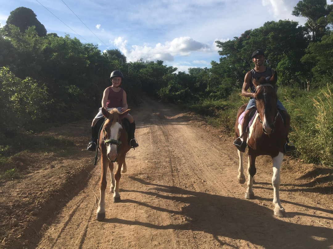 Fiji Horse Treks with Total Wellness Fiji-纳迪市必去景点