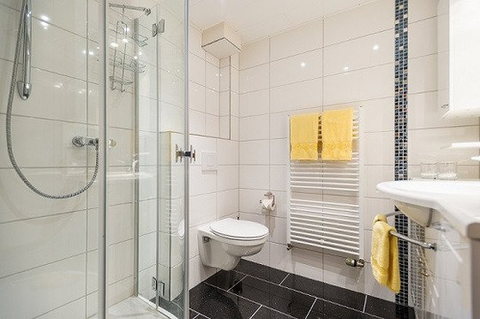 Moselromantik - Hotel Zum Löwen主图