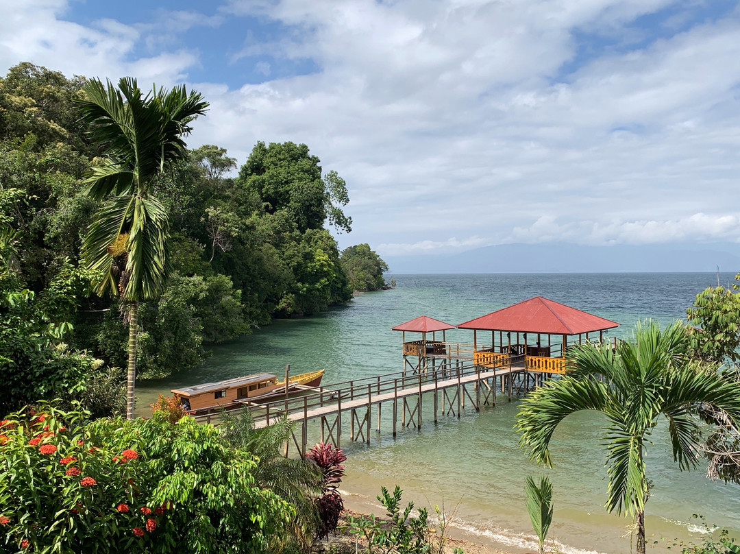 Dolidi Ndano Towale主图