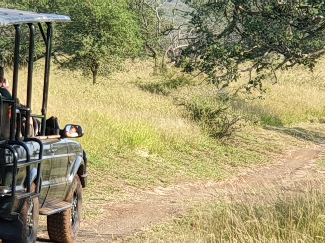 Buffalo Hills Safari Lodge主图