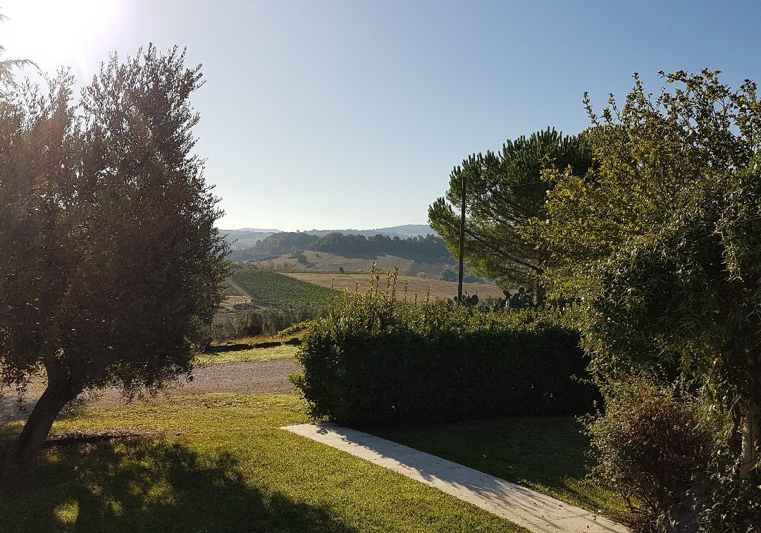 Agriturismo Poggio Alle Calle主图