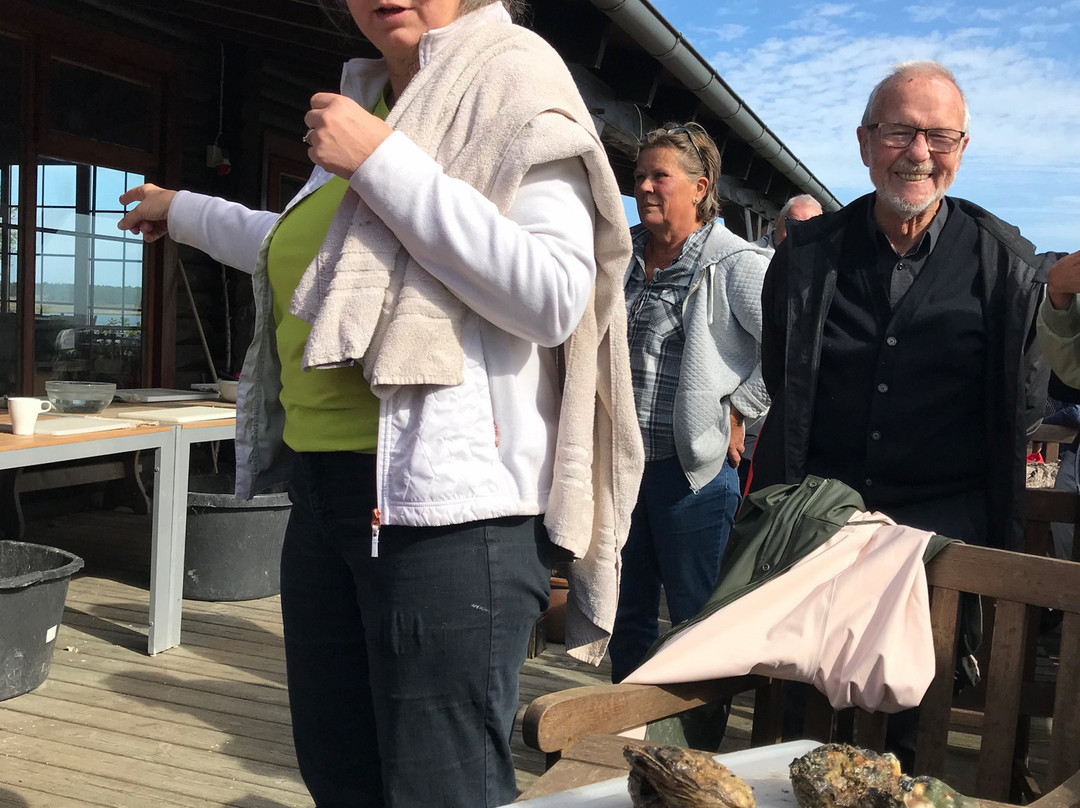 Kommandørgården主图