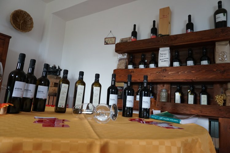 Tenuta Mainardi Winery景点图片