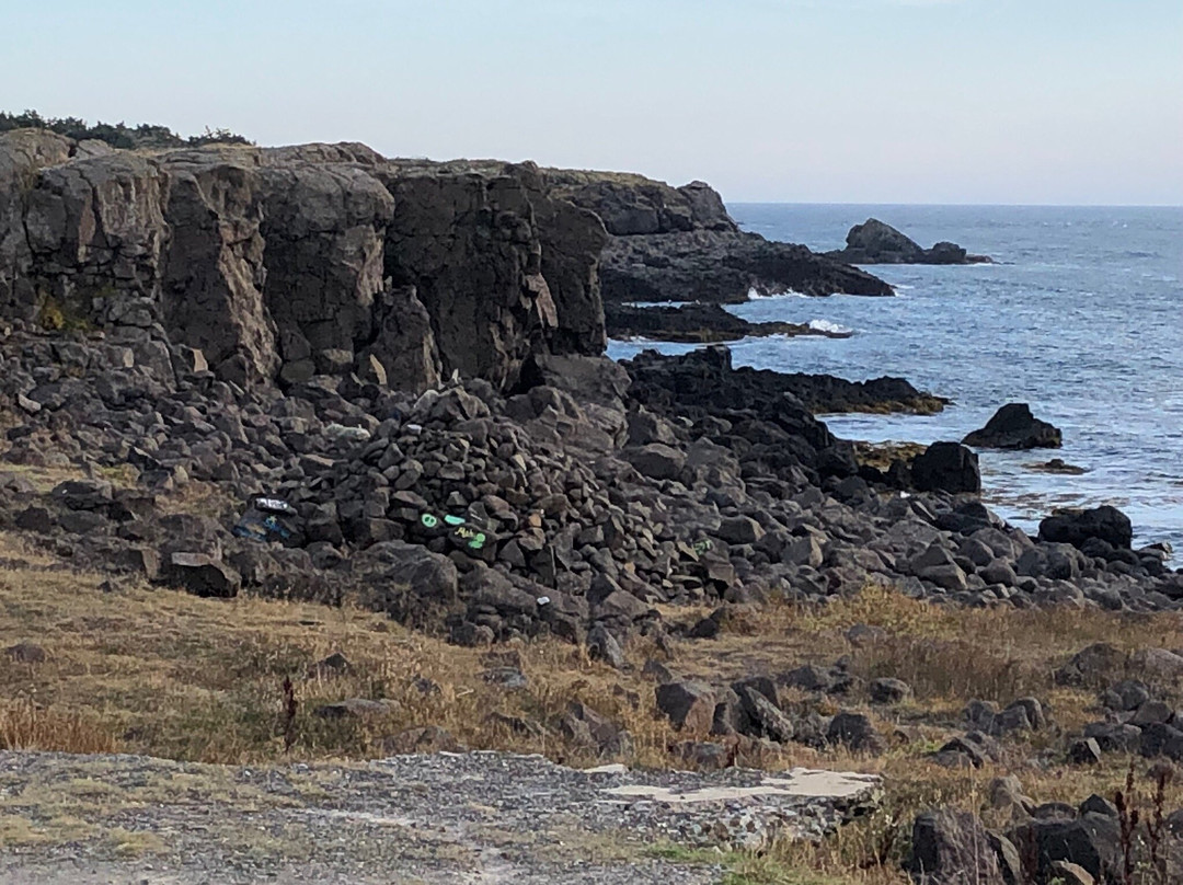 Brier Island-Brier Island必去景点