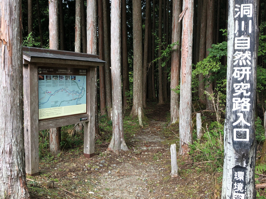 Dorogawa Shizen Kenkyuro景点图片
