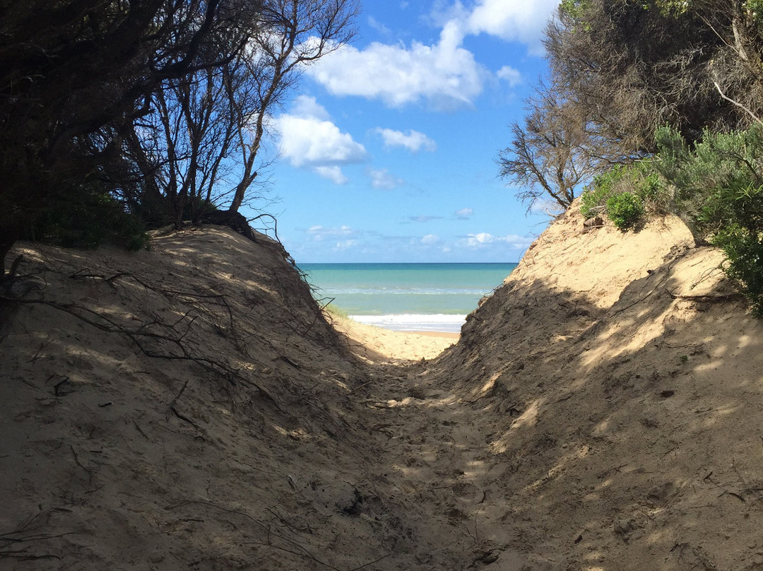 Reeeves Beach景点图片