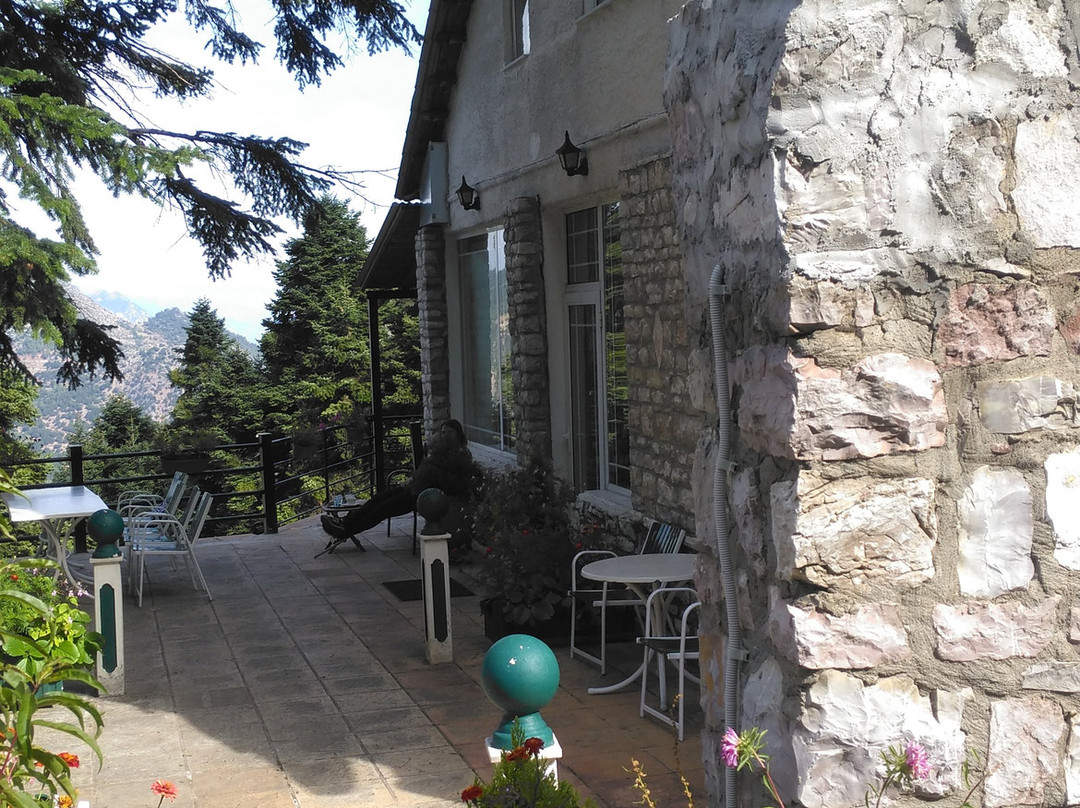 Hotel Koutsikouris主图