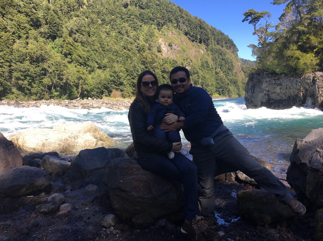 Cabanas Ensenada Bosque Nativo主图