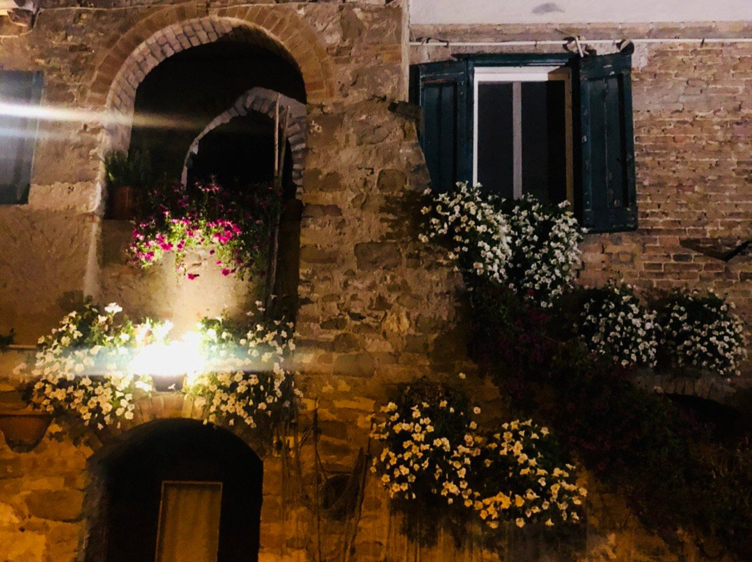 Hotel Bellavista主图